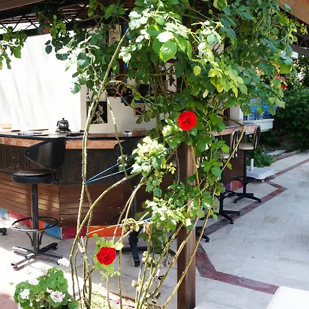 公寓式酒店 Koz Marigold Çeşme