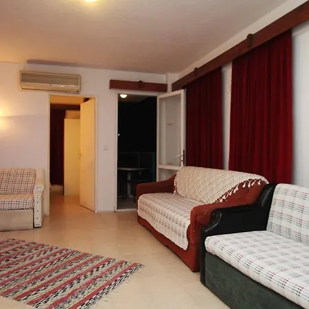 Koz Marigold 2*